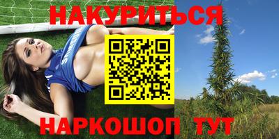 прущие грибы Вышний Волочёк