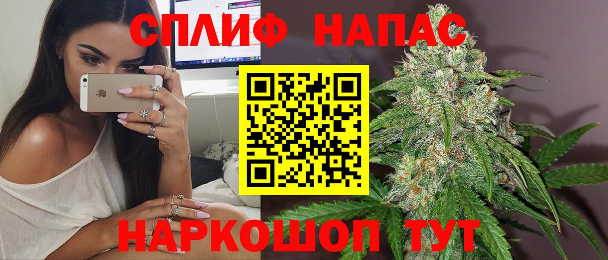 Каннабис индика Димитровград